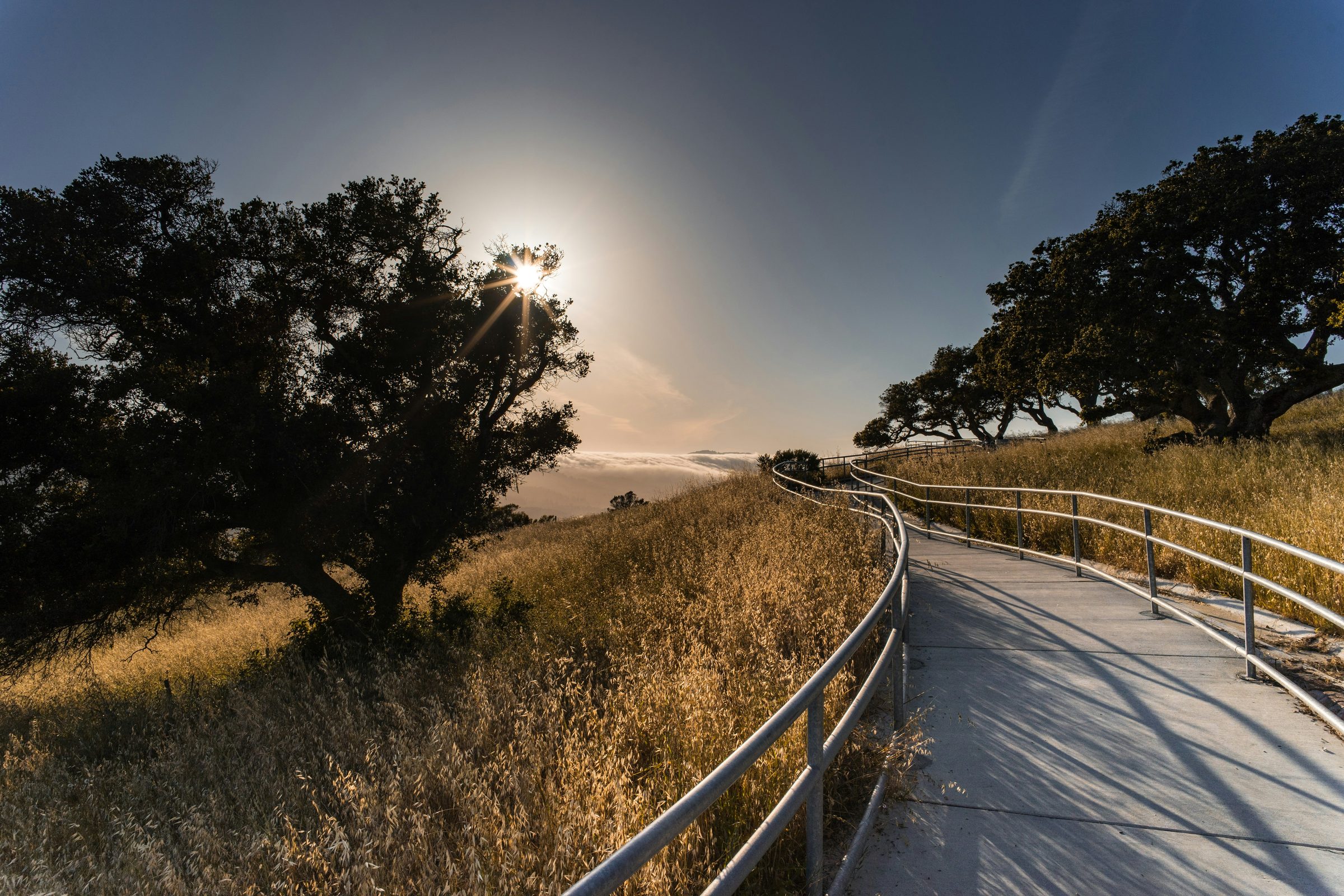 Menlo Park trail at golden hour